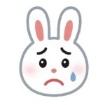 うさぎちゃん